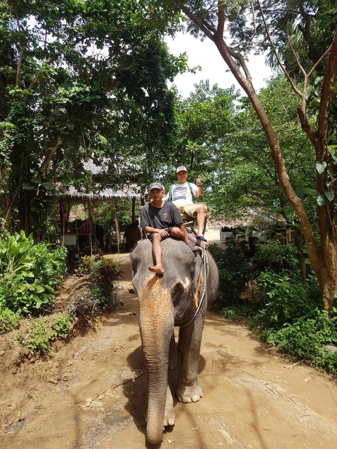 Kok Chang Safari Elephant Trekking, Phuket